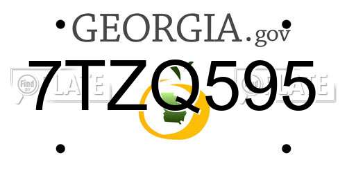 7TZQ595 Georgia License Plate