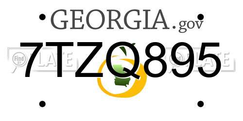 7TZQ895 Georgia License Plate