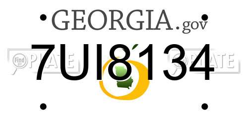 7UI8134 Georgia License Plate