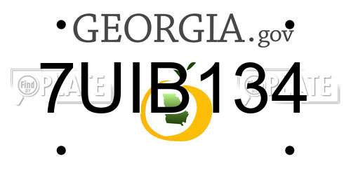 7UIB134 Georgia License Plate