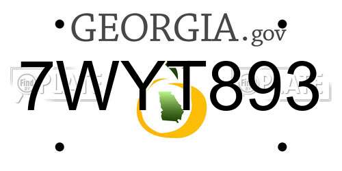 7WYT893 Georgia License Plate