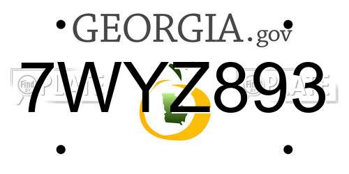 7WYZ893 Georgia License Plate