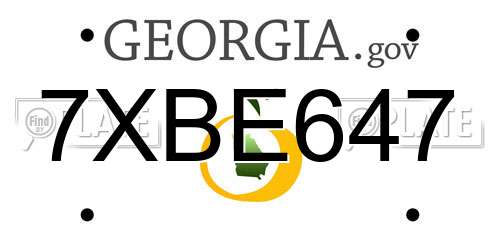 7XBE647 Georgia License Plate