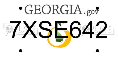 7XSE642 Georgia License Plate