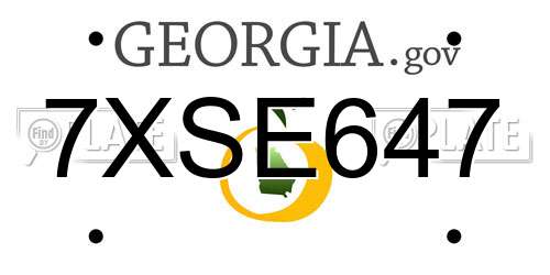 7XSE647 Georgia License Plate