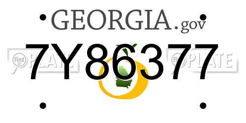 7Y86377 Georgia License Plate