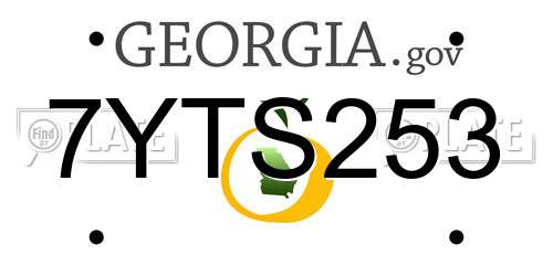 7YTS253 Georgia License Plate