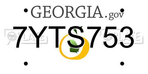 7YTS753 Georgia License Plate