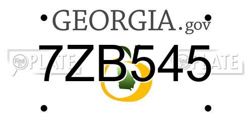 7ZB545 Georgia License Plate