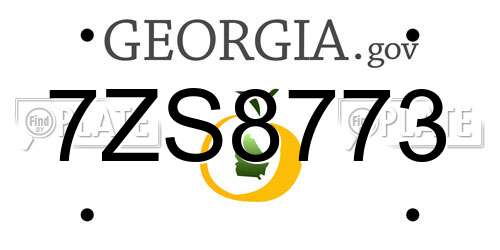 7ZS8773 Georgia License Plate