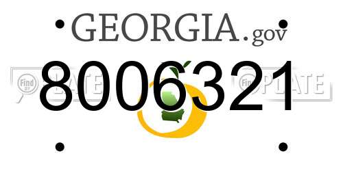 8006321 Georgia License Plate