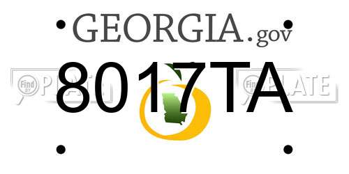 8017TA Georgia License Plate