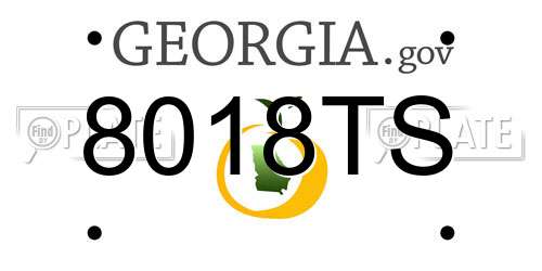 8018TS Georgia License Plate