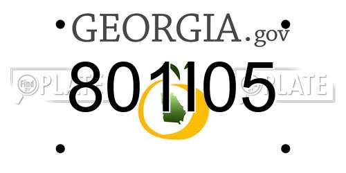 801I05 Georgia License Plate