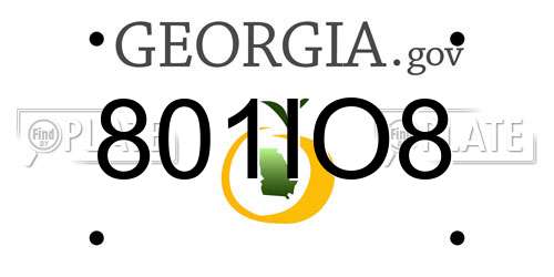 801IO8 Georgia License Plate