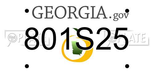 801S25 Georgia License Plate