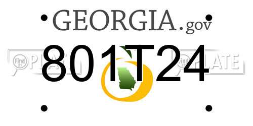 801T24 Georgia License Plate