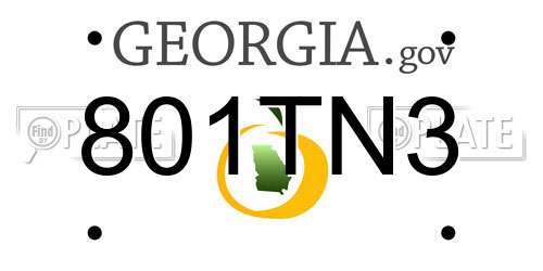 801TN3 Georgia License Plate
