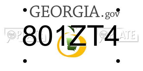 801ZT4 Georgia License Plate