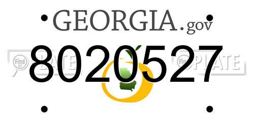 8020527 Georgia License Plate