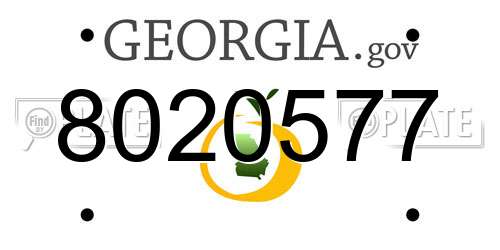 8020577 Georgia License Plate