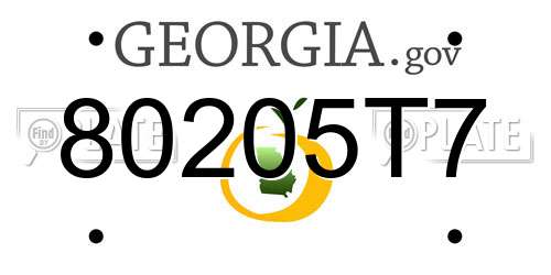 80205T7 Georgia License Plate