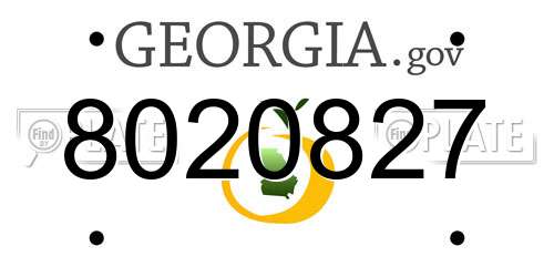 8020827 Georgia License Plate