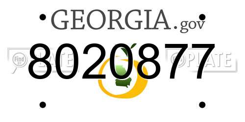 8020877 Georgia License Plate