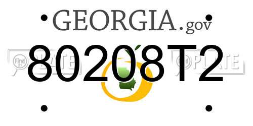 80208T2 Georgia License Plate
