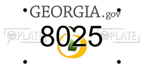 8025 Georgia License Plate