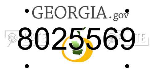 8025569 Georgia License Plate