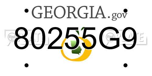 80255G9 Georgia License Plate