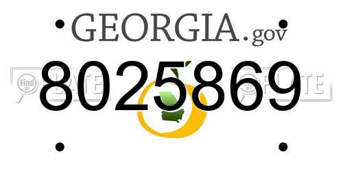 8025869 Georgia License Plate