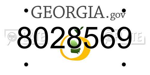 8028569 Georgia License Plate