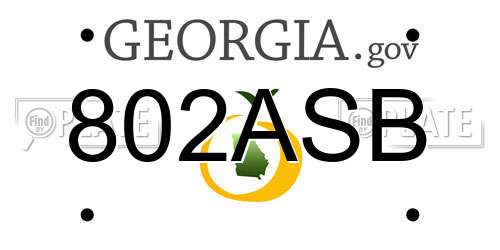 802ASB Georgia License Plate