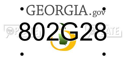 802G28 Georgia License Plate
