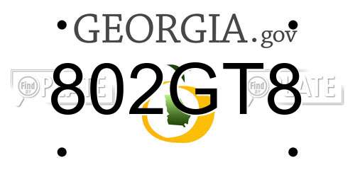 802GT8 Georgia License Plate