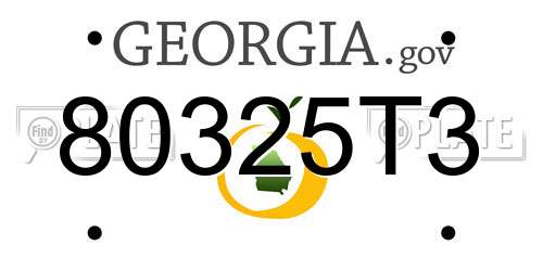 80325T3 Georgia License Plate