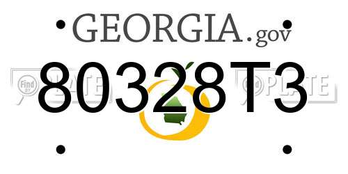 80328T3 Georgia License Plate