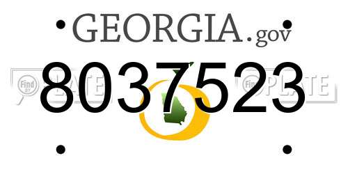 8037523 Georgia License Plate