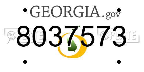 8037573 Georgia License Plate
