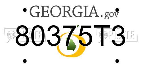 80375T3 Georgia License Plate