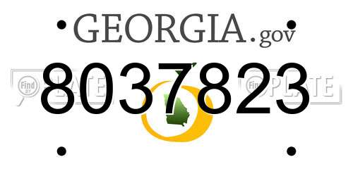 8037823 Georgia License Plate