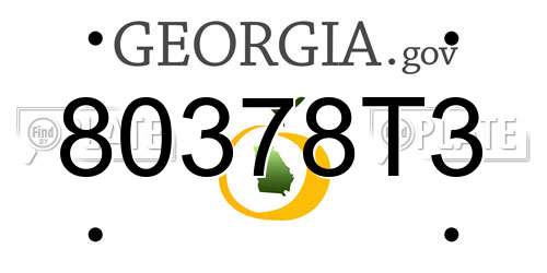 80378T3 Georgia License Plate