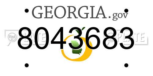 8043683 Georgia License Plate