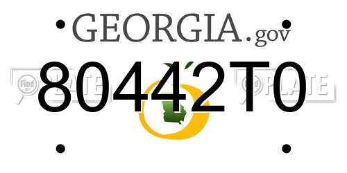 80442T0 Georgia License Plate