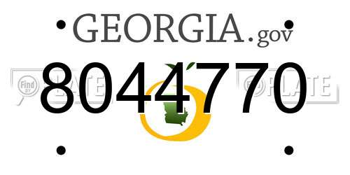 8044770 Georgia License Plate
