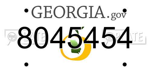 8045454 Georgia License Plate