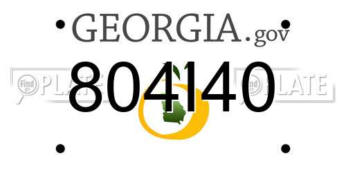 804I40 Georgia License Plate