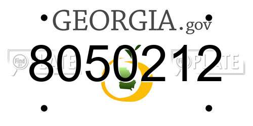 8050212 Georgia License Plate